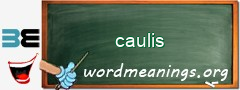 WordMeaning blackboard for caulis
